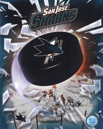 2008 San Jose Sharks Team Logo