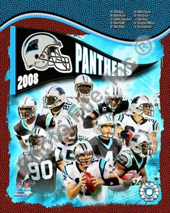 2008 Carolina Panthers Team Composite