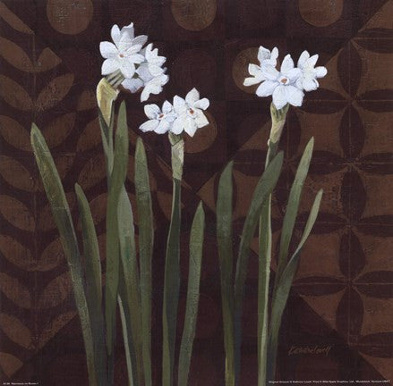 Narcissus on Brown I