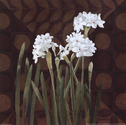 Narcissus on Brown II