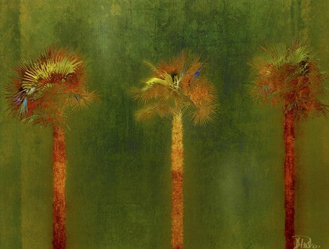 3 Palms II