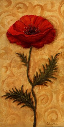 Red Poppy