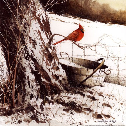 Country Cardinal