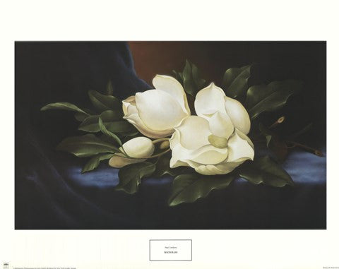 Magnolias