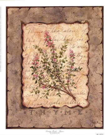 Vintage Herbs - Thyme