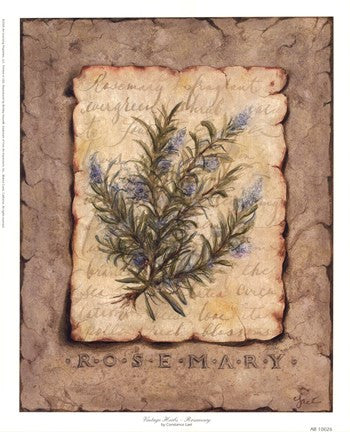 Vintage Herbs - Rosemary