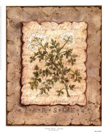 Vintage Herbs - Parsley