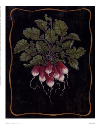 Bouquet Of Radishes l