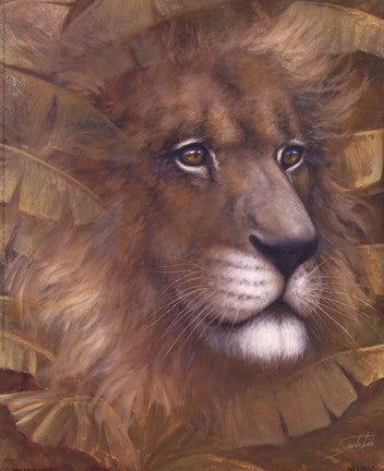 Safari Lion