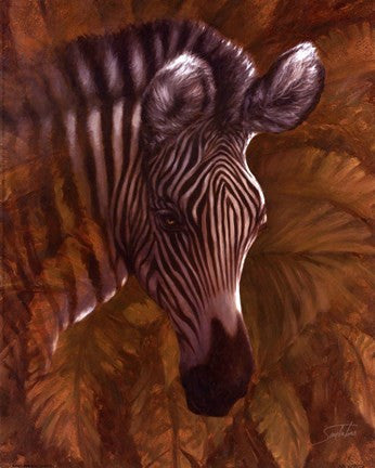 Safari Zebra