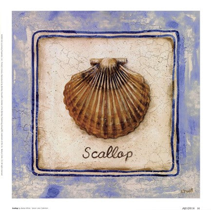 Scallop