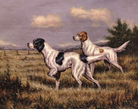 Bird Dogs