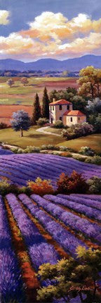 Fields Of Lavender I