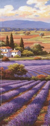 Fields Of Lavender II