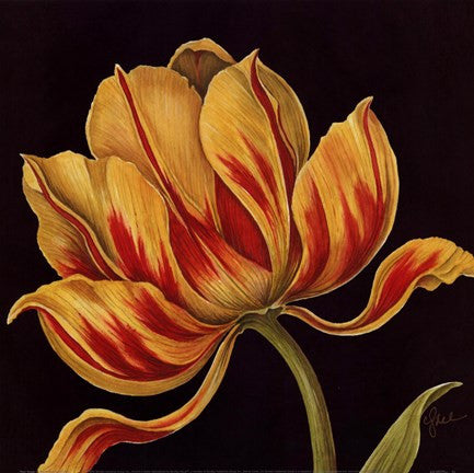Fleur Rouge Et Jaune