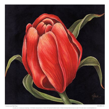 Tulipe Rouge