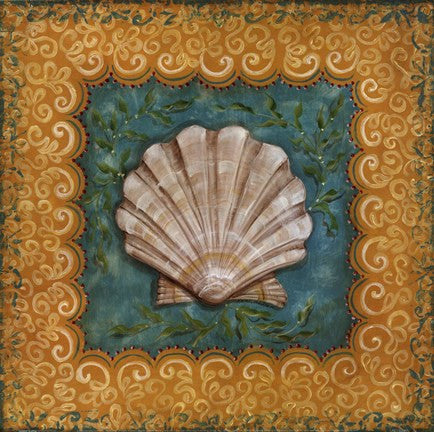 Sanibel Scallop