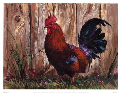 Bantie Rooster