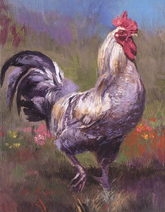 Purple Rooster