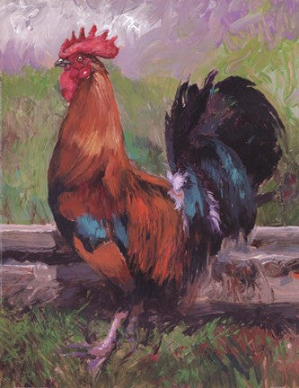 Red And Turquoise Rooster