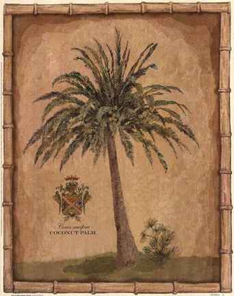 Caribbean Palm III With Bamboo Border