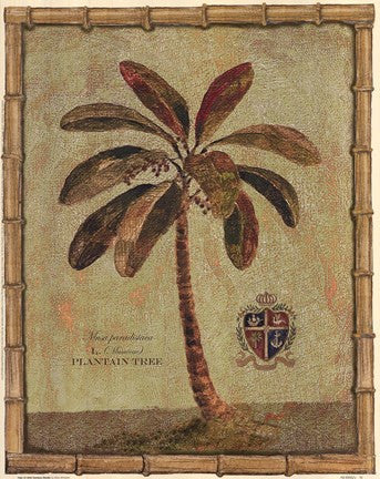 Caribbean Palm IV With Bamboo Border