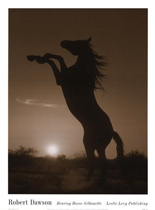 Rearing Horse Silhouette