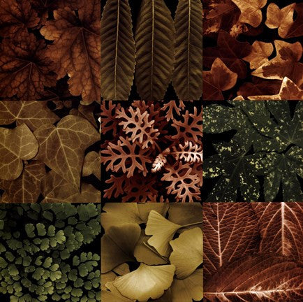 Leaf Montage