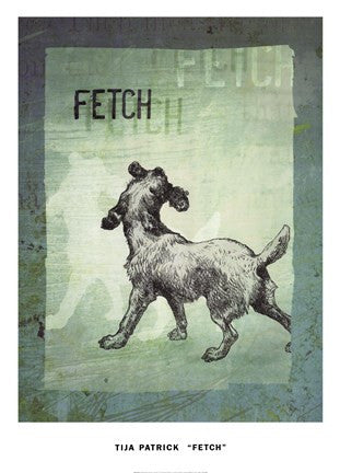 Fetch