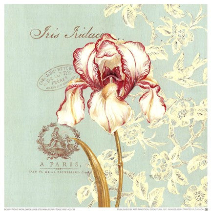 Toile Iris