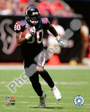 Andre Johnson 2008 Action