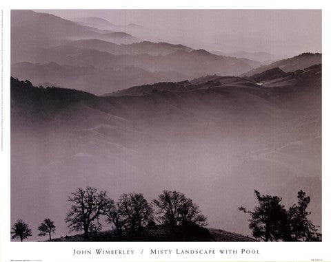 Misty Landscape With Pool