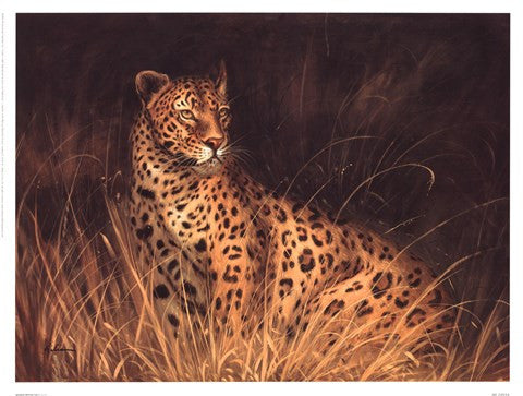 Spotted African Cat