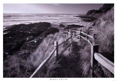 Pathway To Beach