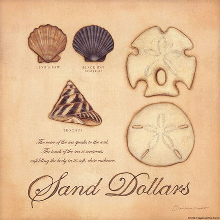 Sand Dollars