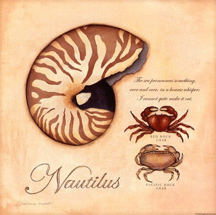 Nautilus - square