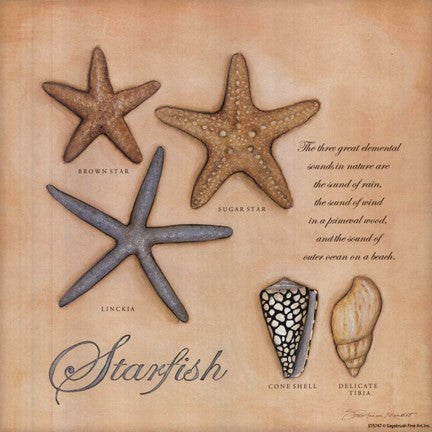 Starfish Brown Sugar & Linceria