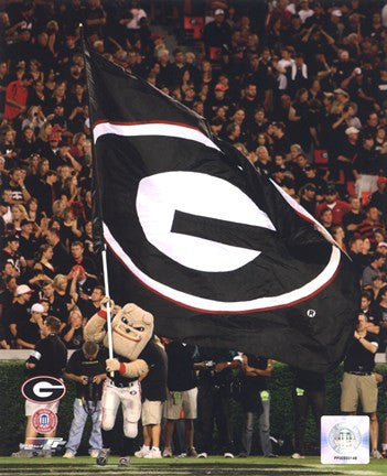 Georgia Bulldogs Mascot 2008