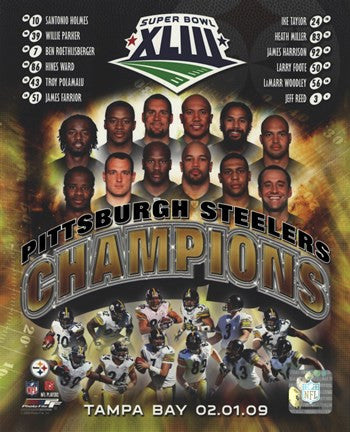 Pittsburgh Steelers 2009 SuperBowl XLIII Champions Composite