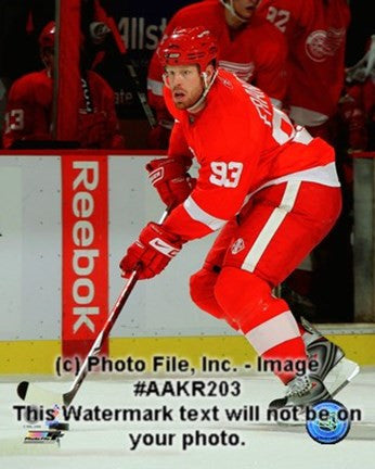 Johan Franzen 2008-09 Home Action