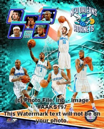 2008-09 New Orleans Hornets Team Composite