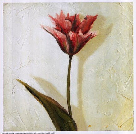 Tulip III