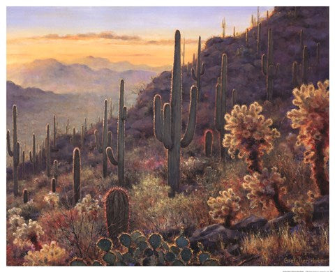 Sonoran Sunset