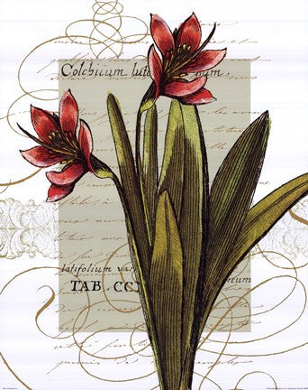 Florilegium III