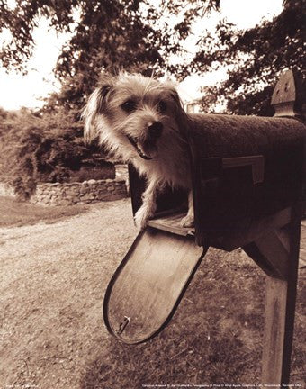 You've Got Mail