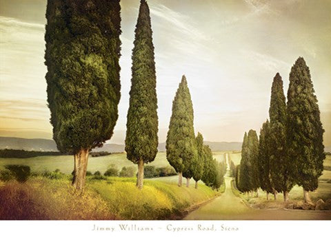 Cypress Road, Siena