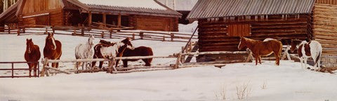 Wyoming Winter Morning