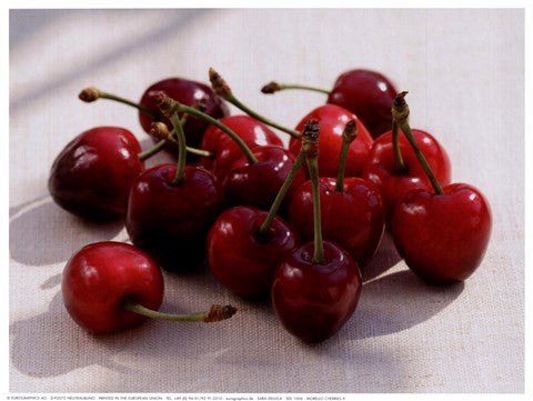 Morello Cherries II