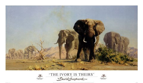 The Ivory Is Theirs