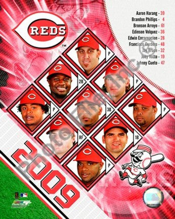 2009 Cincinnati Reds Team Composite